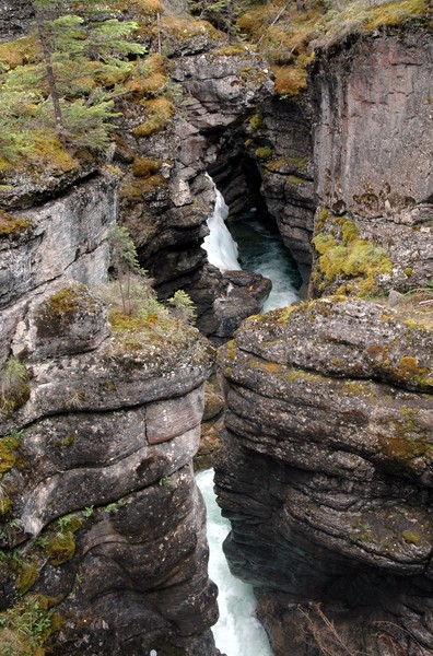 Maligne Canyon